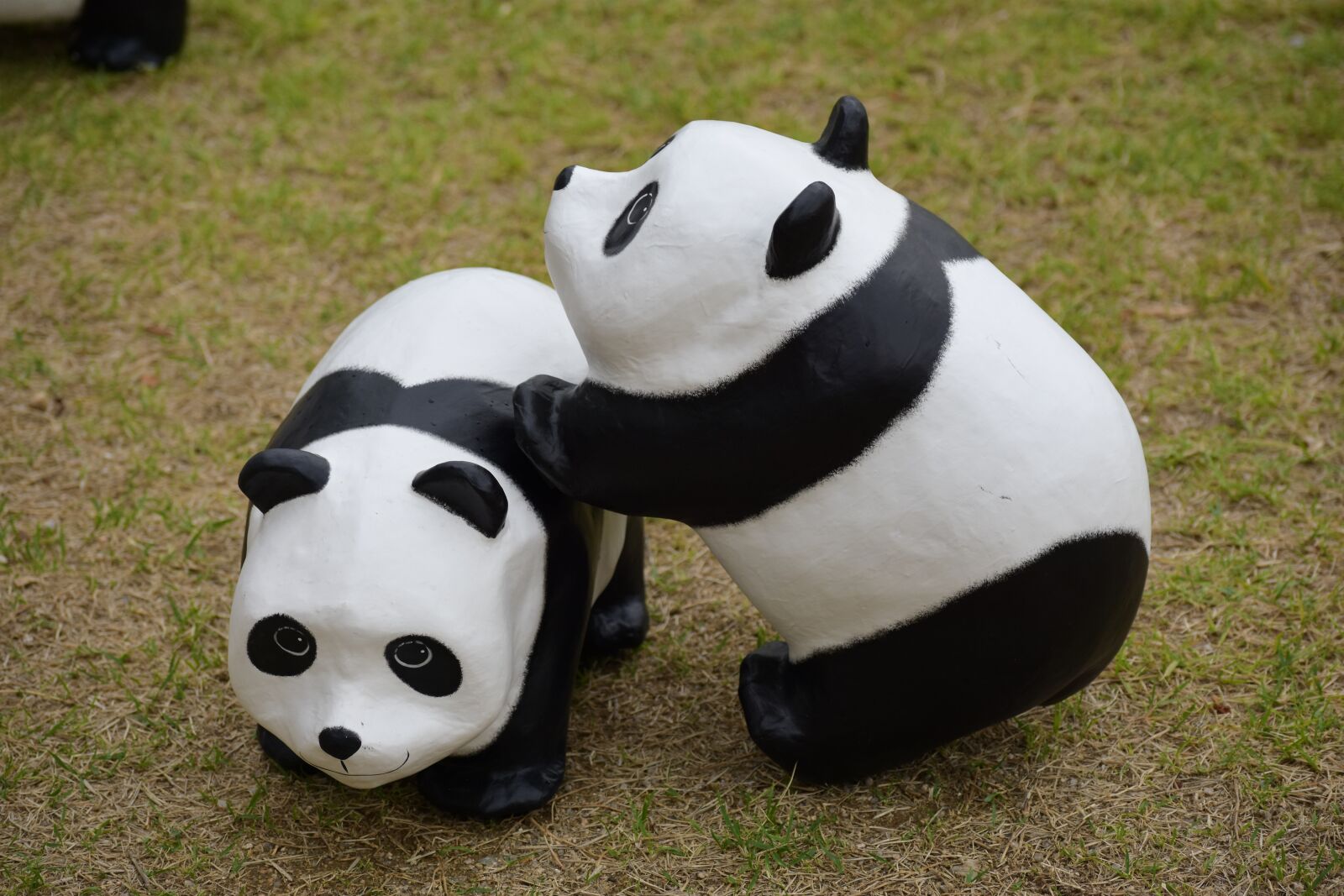 Nikon D7200 sample photo. Panda, doll, animal photography