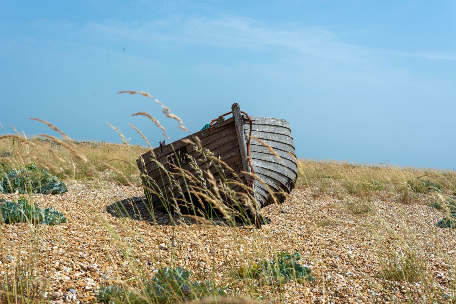 Nikon D600 sample photo. Dungeness, abandoned, wreck photography