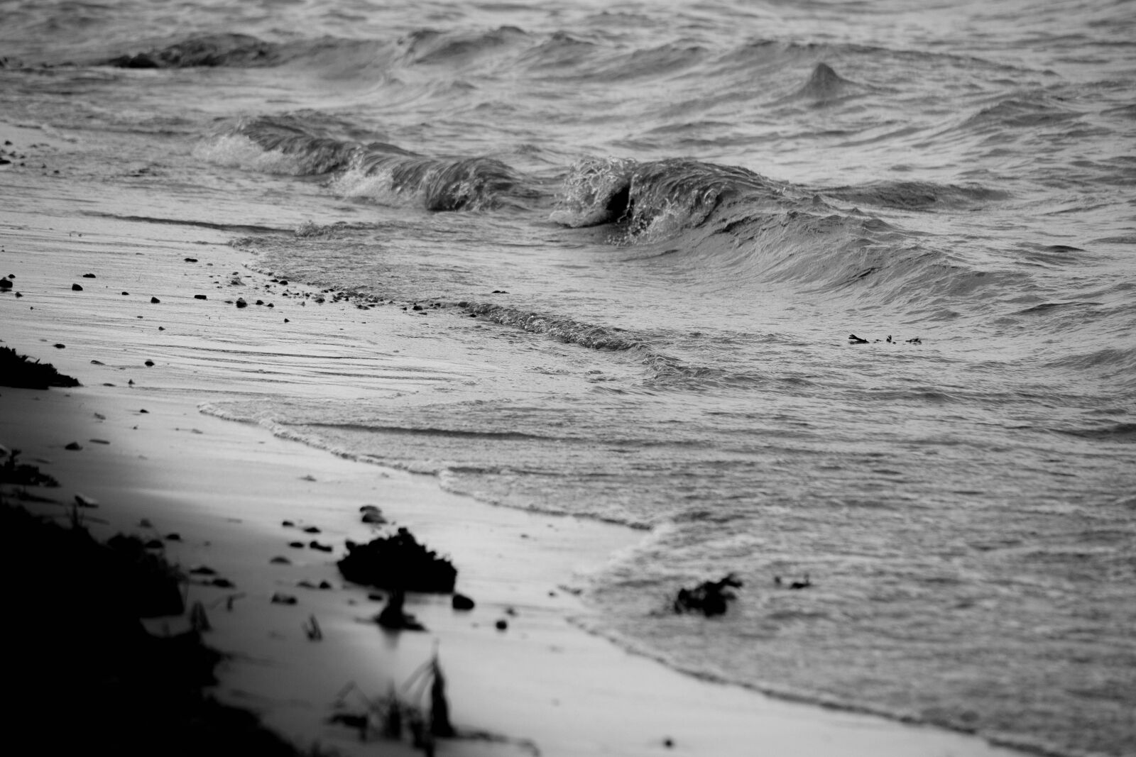 Nikon D3100 sample photo. Black, and, white, denmark photography