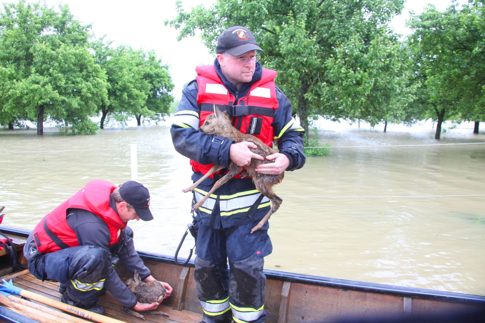 Canon EOS 5D Mark II sample photo. High water, fire, roe photography