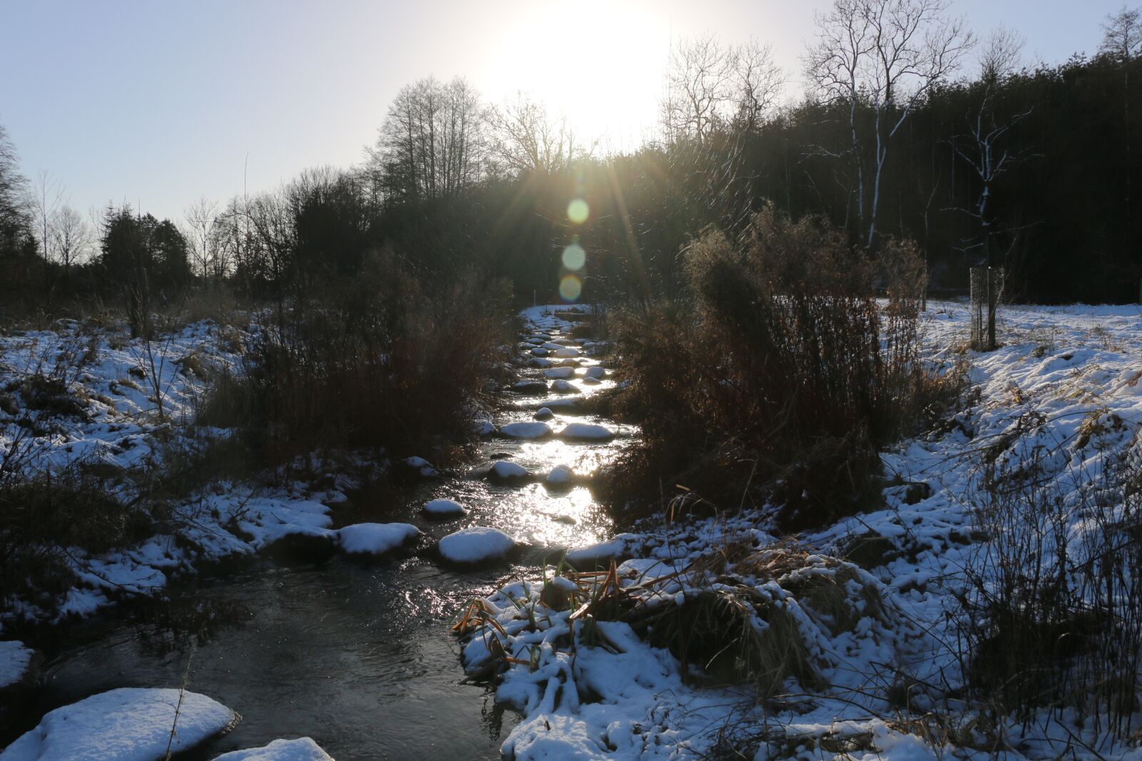 Canon EOS 70D sample photo. Nature, winter, water photography