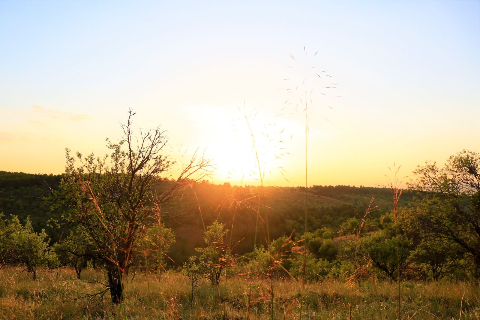 Canon EF 24-105mm F4L IS USM sample photo. Sunset, in the evening photography