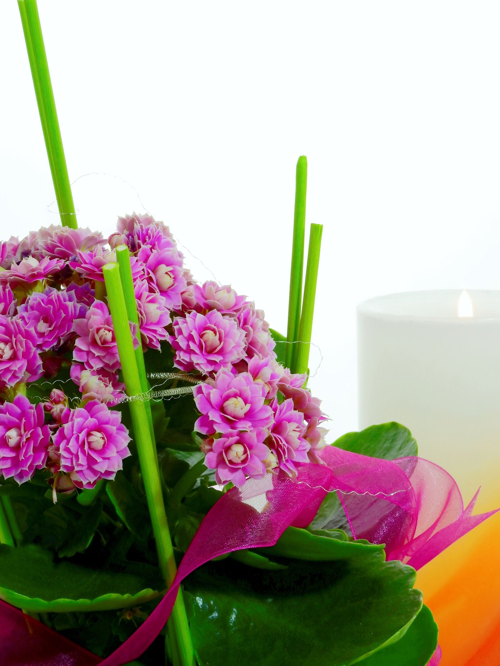 Nikon Coolpix P900 sample photo. Flower, arrangement, deco photography