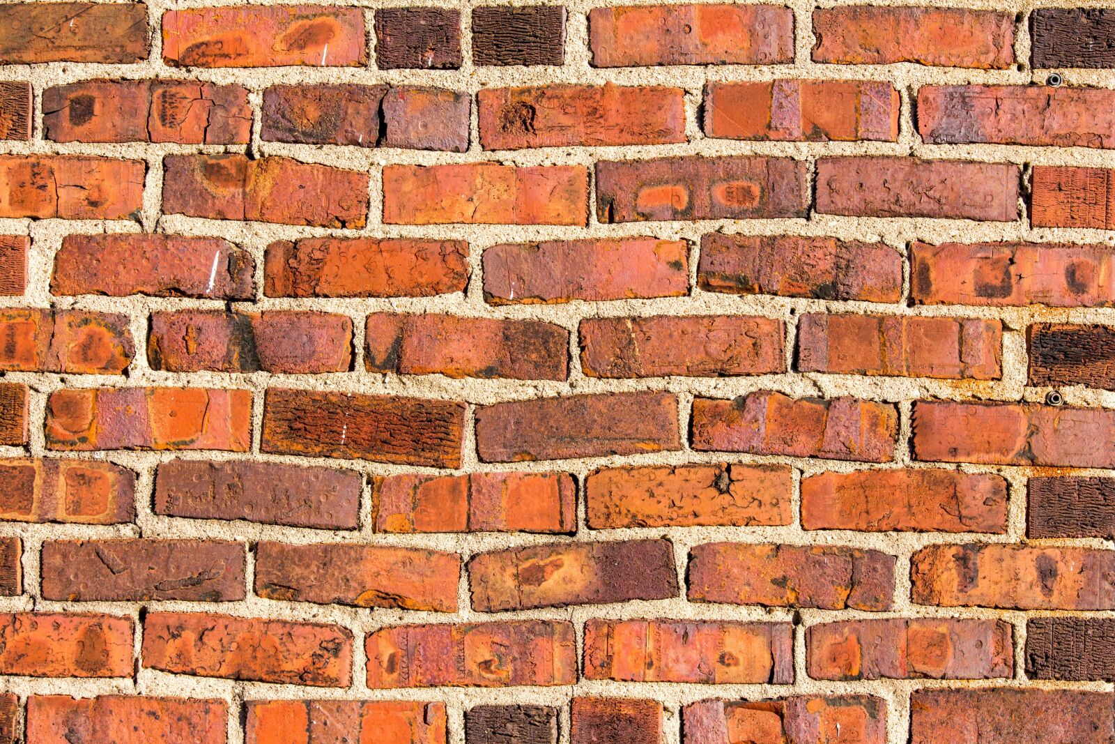 Canon EOS 700D (EOS Rebel T5i / EOS Kiss X7i) sample photo. Brick, wall, cement photography
