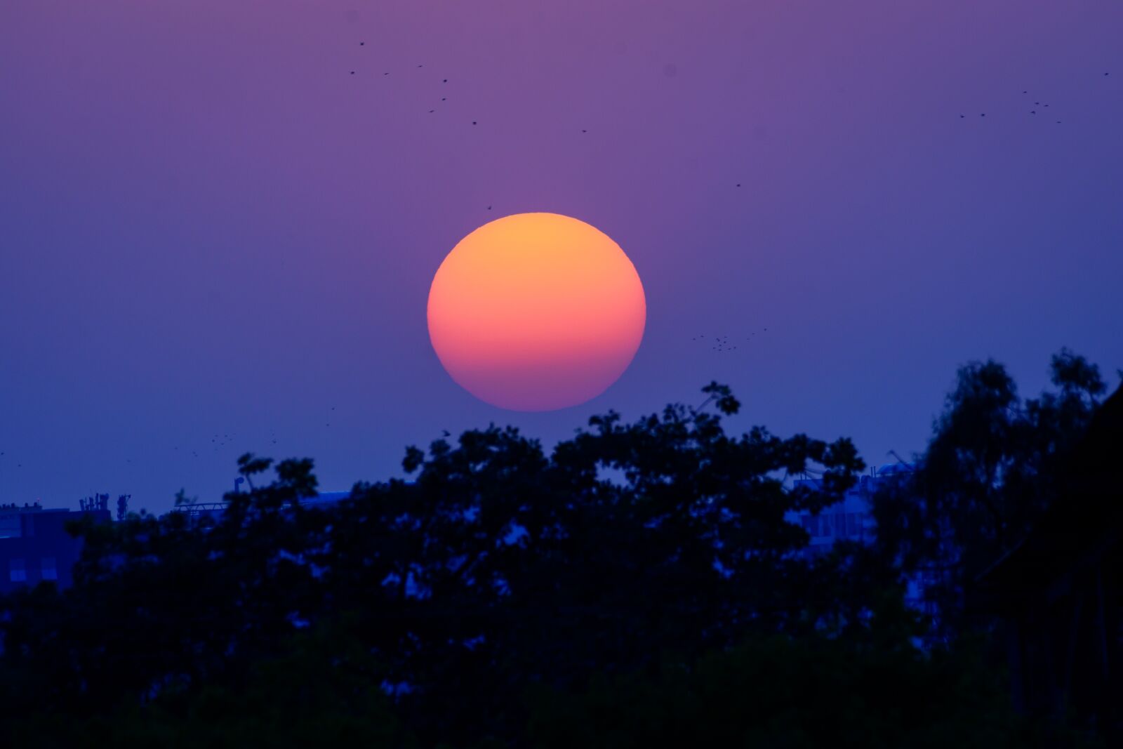 Nikon D7200 sample photo. Sun, sunset, dawn photography