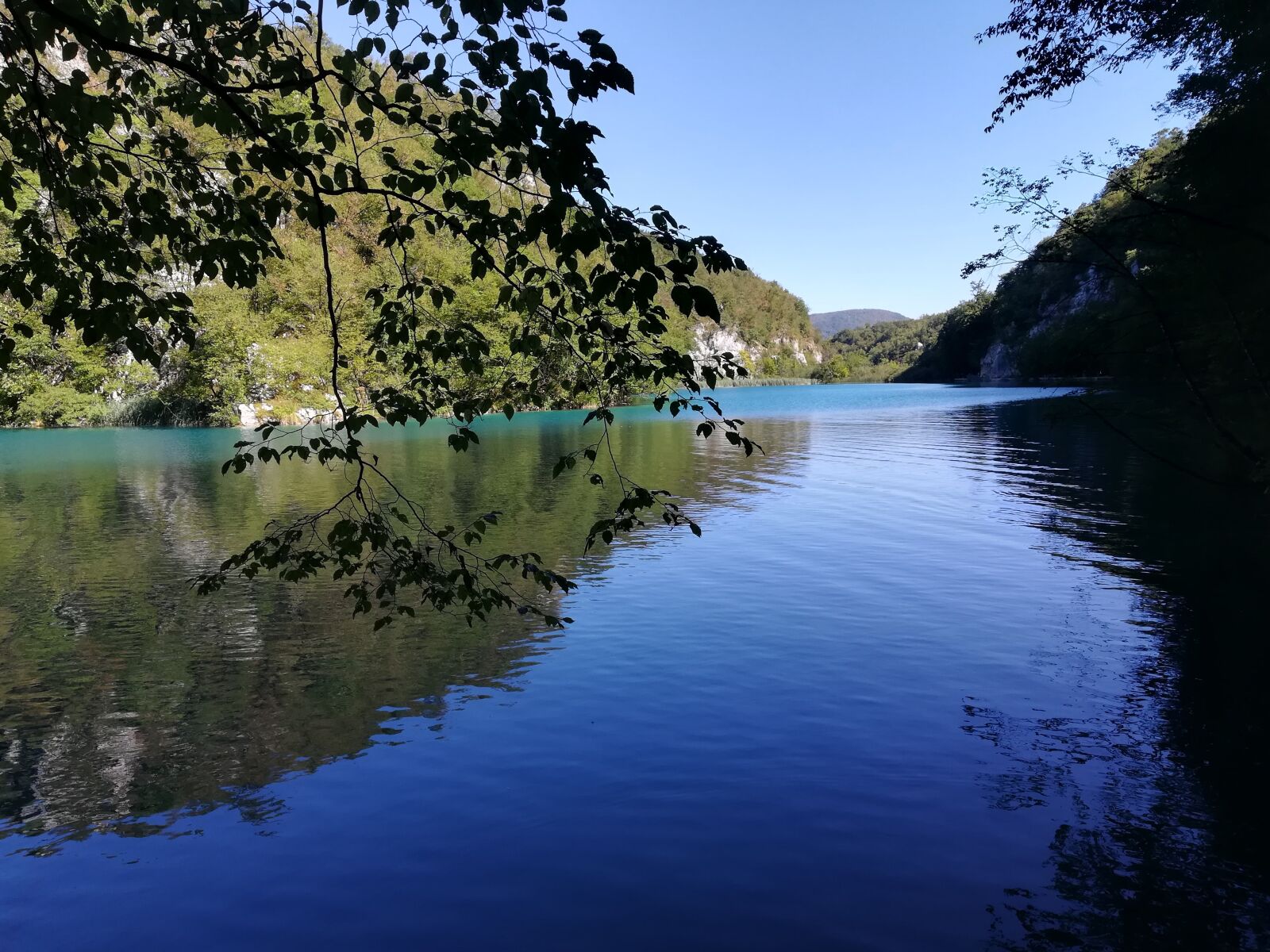 HUAWEI P10 lite sample photo. Waters, nature, tree photography