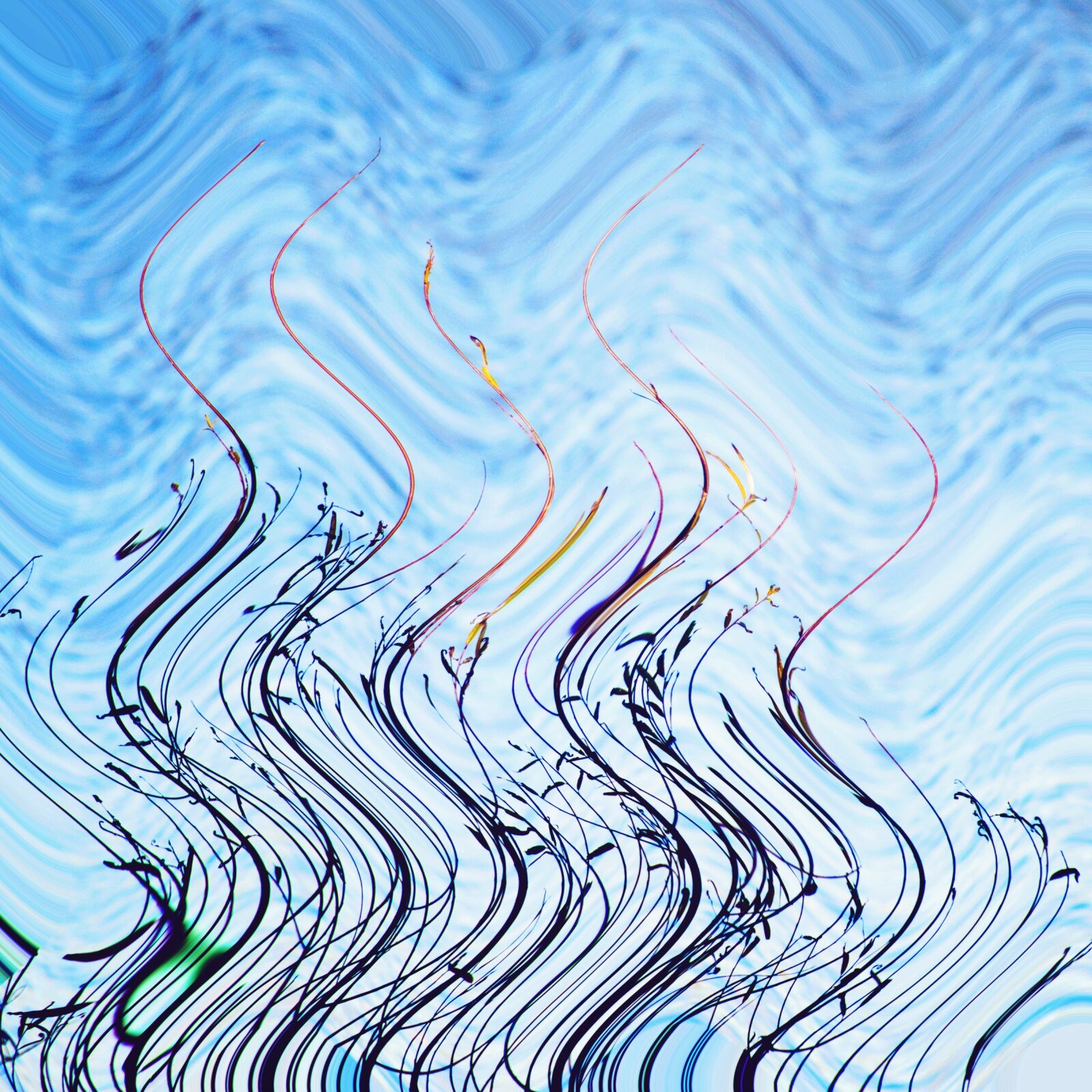 Nikon D5000 sample photo. Abstract, macro, background photography