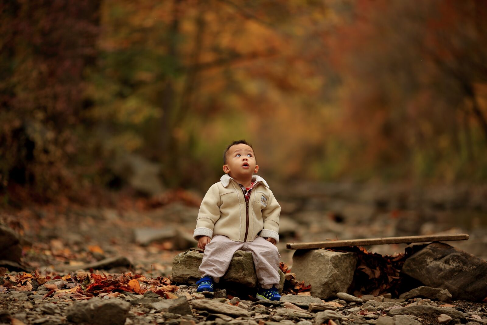 Canon EOS 5D Mark III + Canon EF 135mm F2L USM sample photo. Kid, autum, trees photography