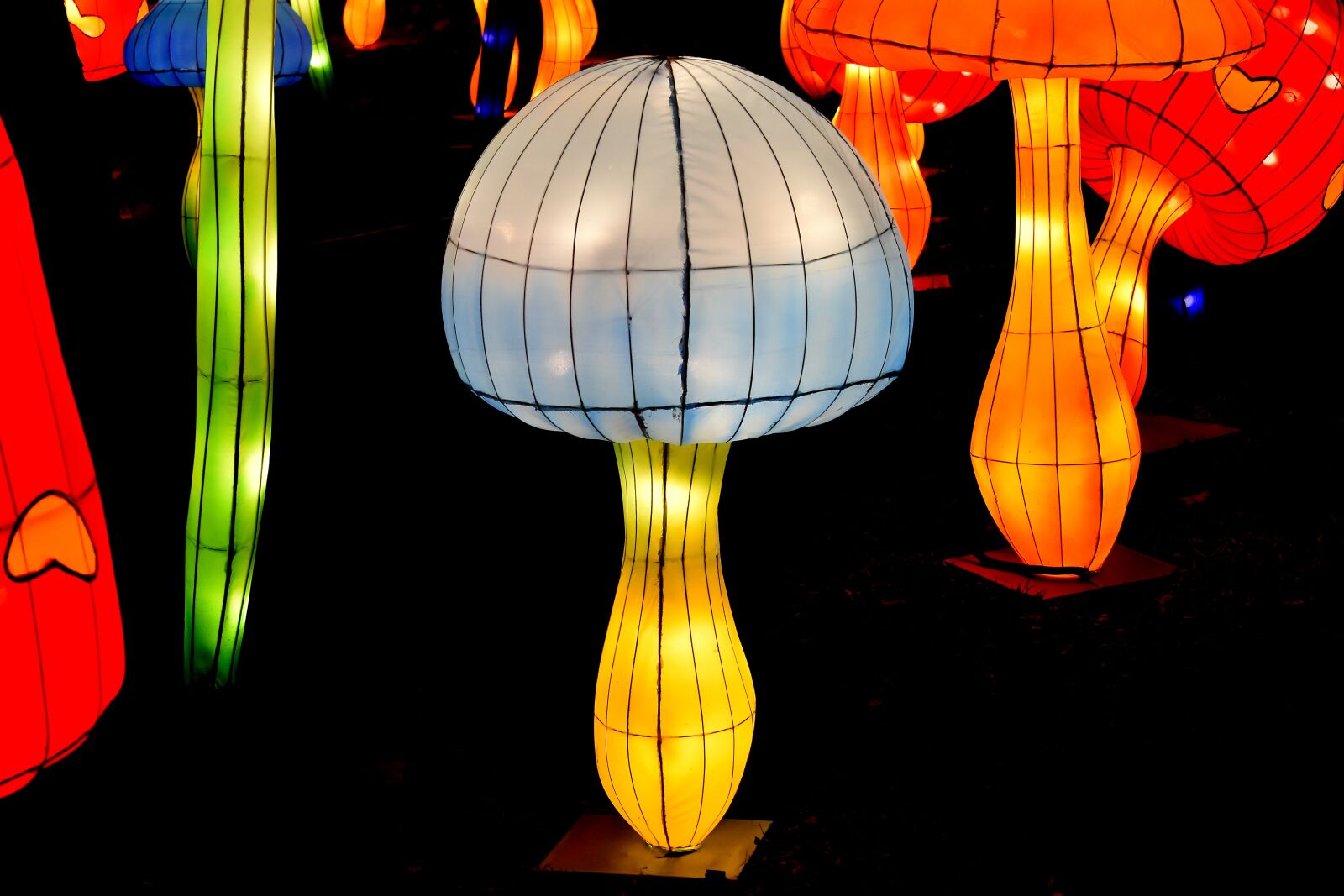 Nikon D5500 sample photo. Asian, chinese, colorful, lamp photography