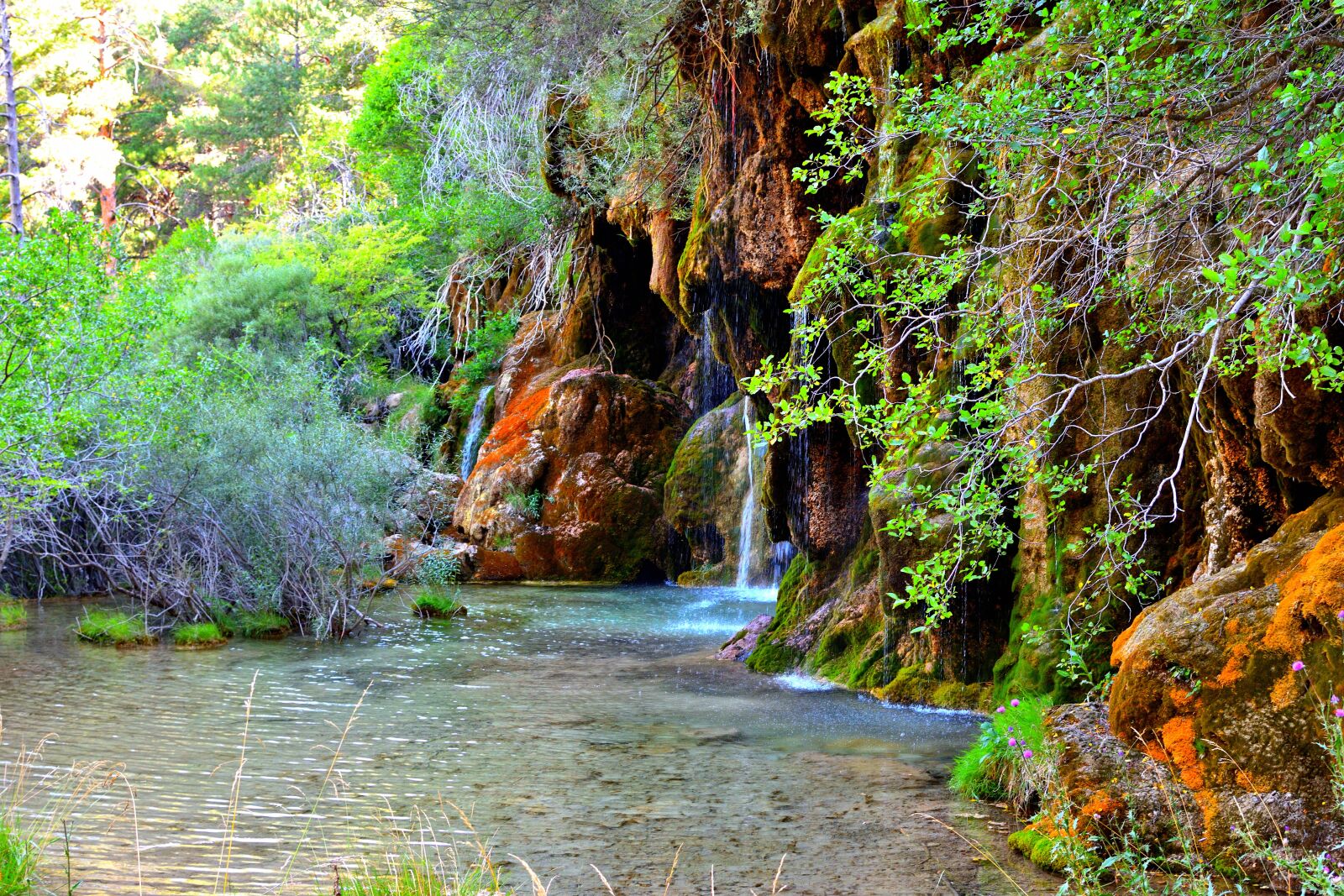 Nikon D5600 sample photo. Waterfall, green, clear photography