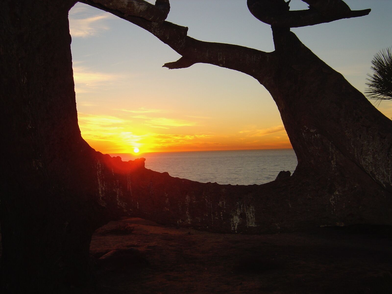 Sony DSC-P10 sample photo. Sunset, california, landscape photography