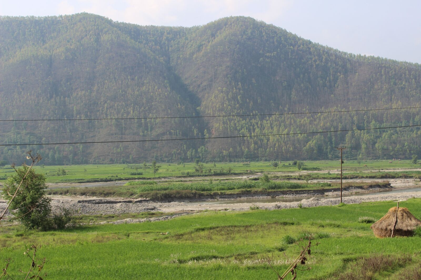 Canon EOS 600D (Rebel EOS T3i / EOS Kiss X5) sample photo. Paddy fields, rice fields photography