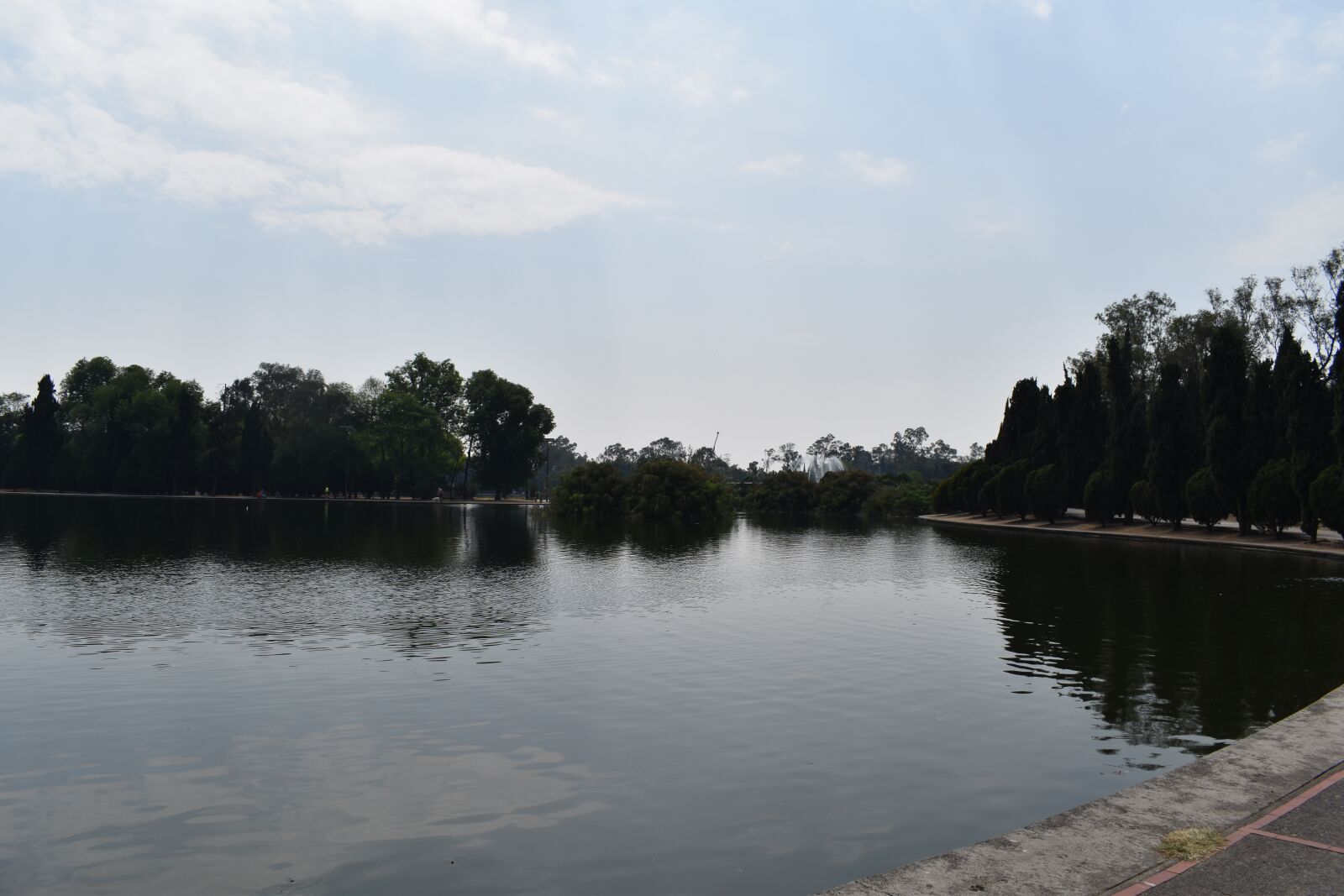 Nikon D3500 sample photo. Lagoon, park, nature photography