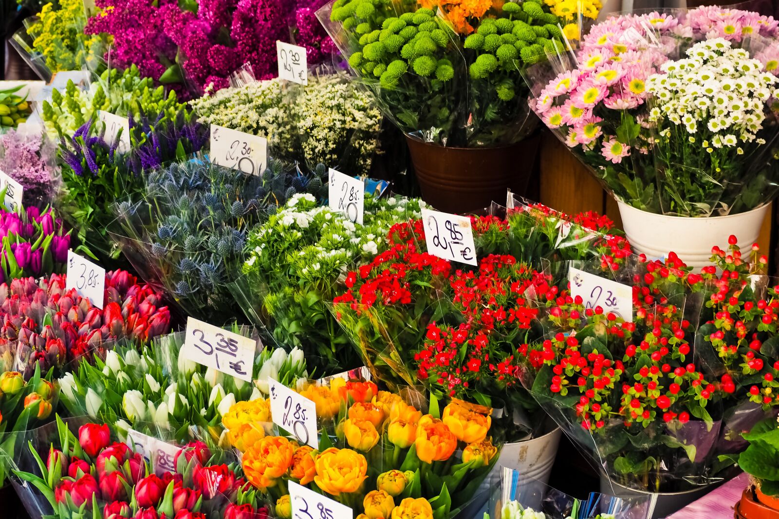 Olympus OM-D E-M10 sample photo. Flowers, cut flowers, bouquet photography
