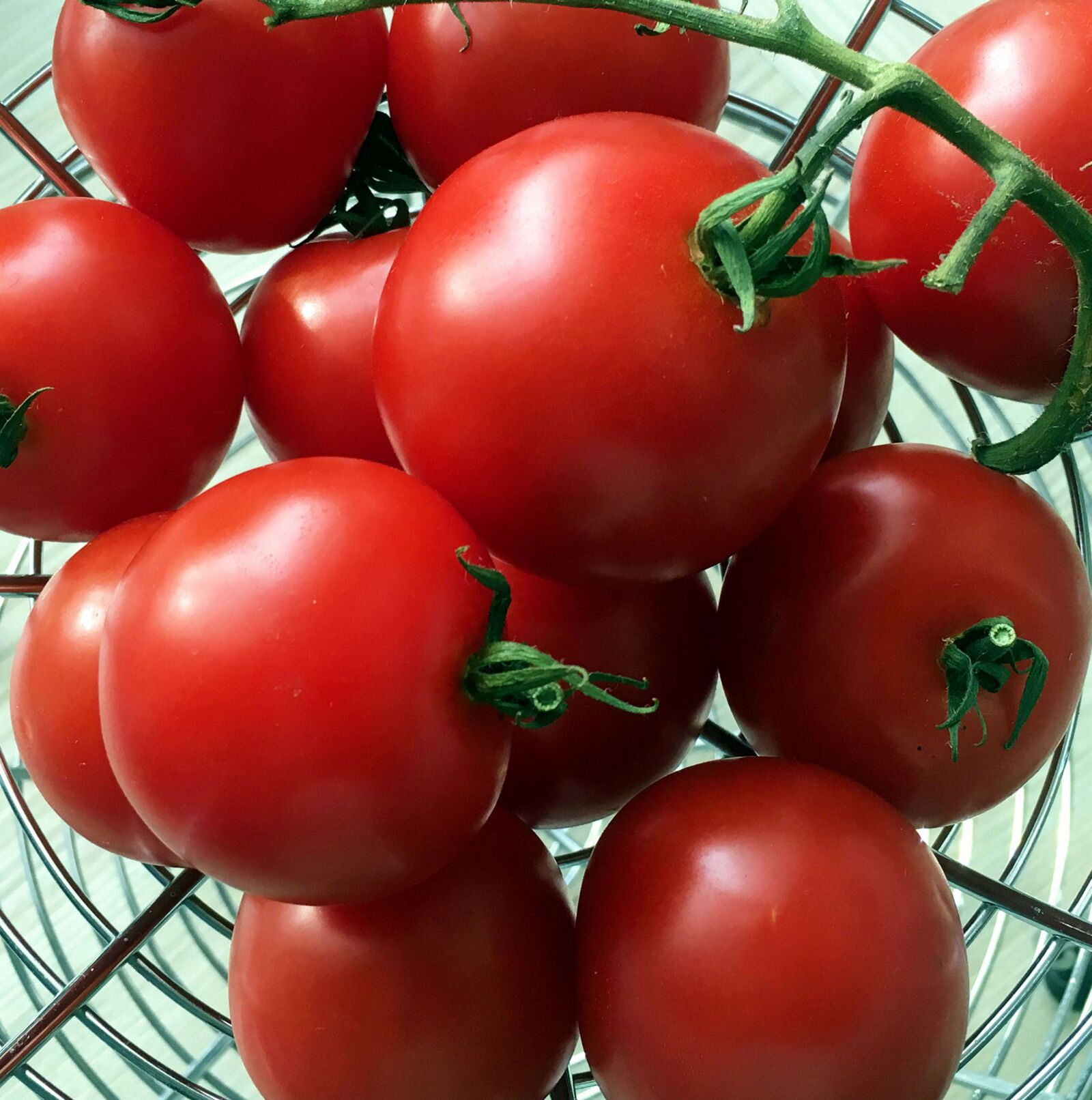 Apple iPhone 6s sample photo. Food, tomato, grow photography