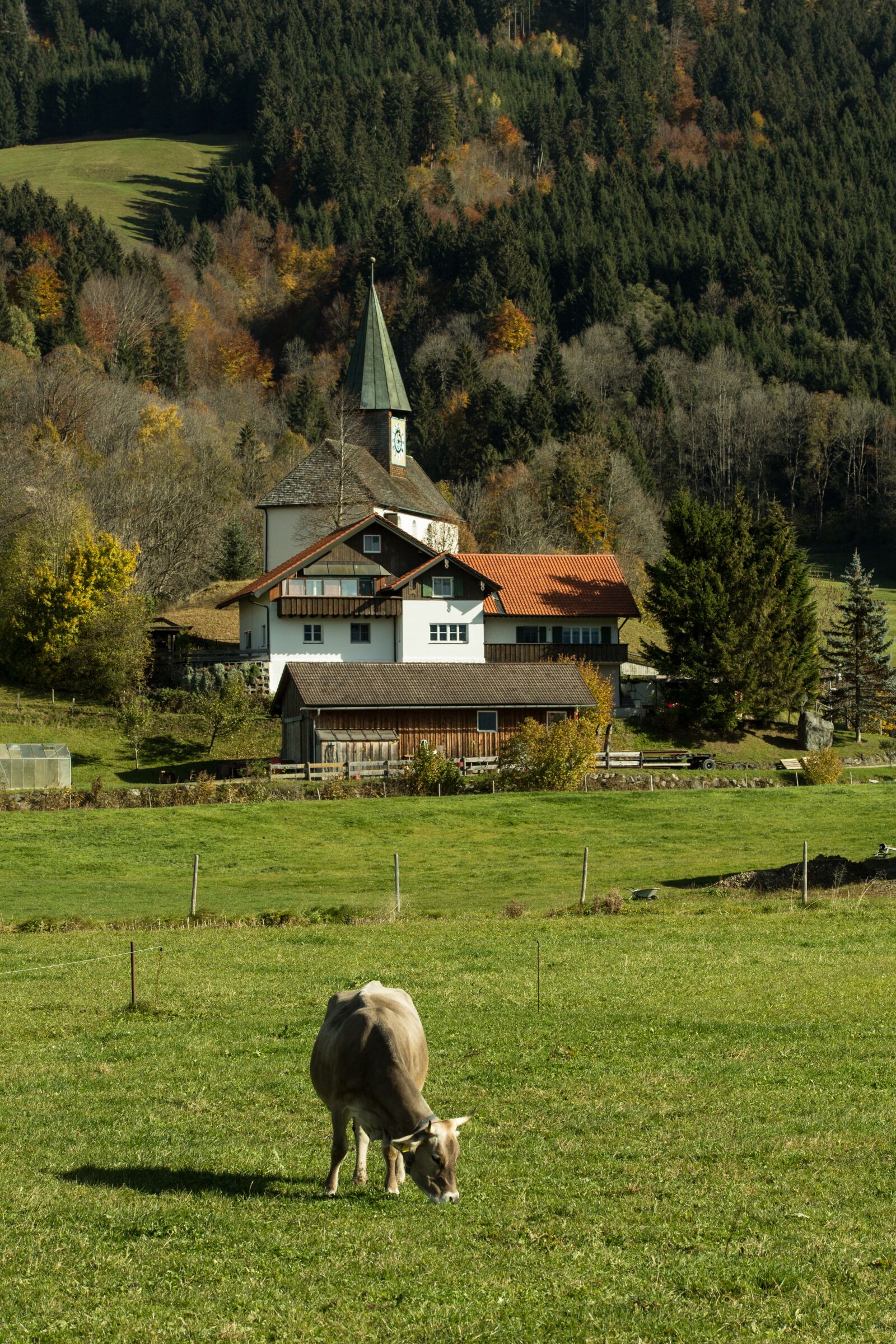 Canon EOS 700D (EOS Rebel T5i / EOS Kiss X7i) sample photo. Allgäu, village, cow photography