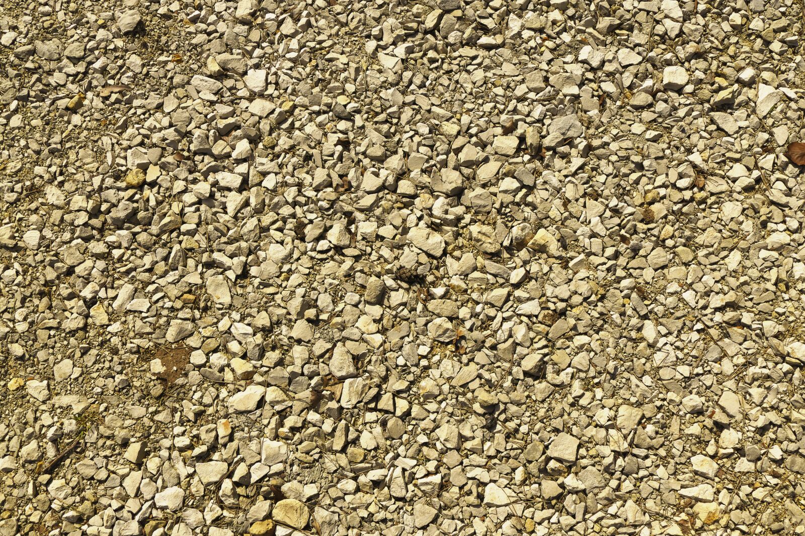 Panasonic Lumix DMC-FZ1000 sample photo. Pebble, stones, gravel photography