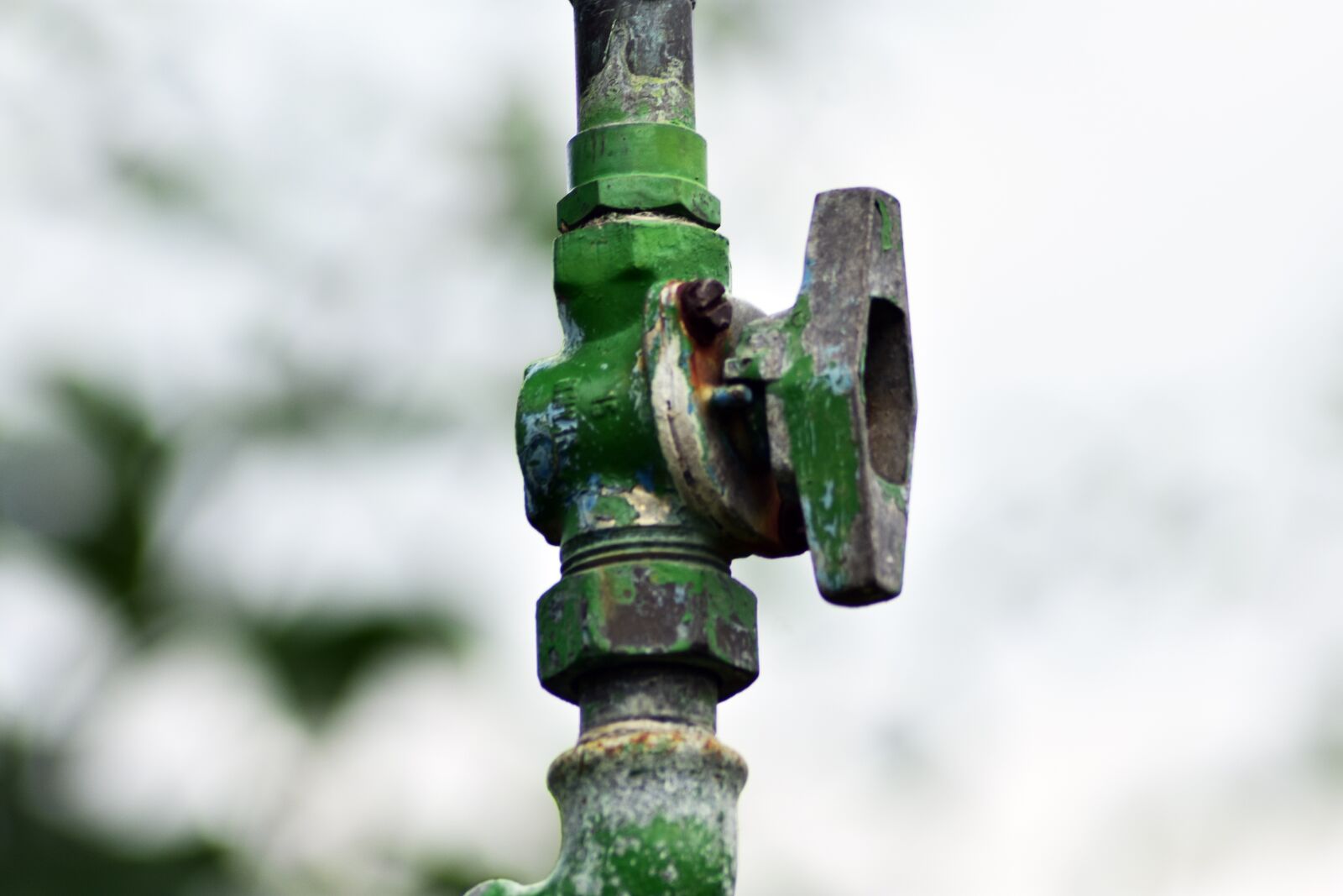Nikon D3400 sample photo. Tube, wire, team photography