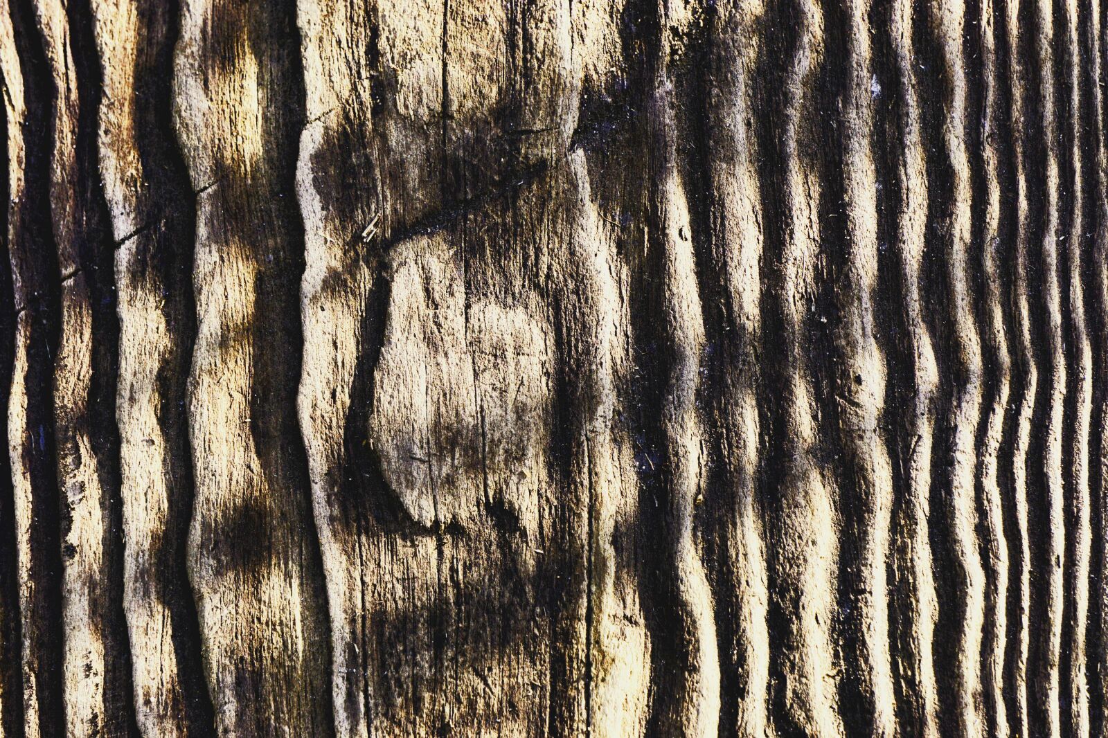 Sony E 55-210mm F4.5-6.3 OSS sample photo. Wood, structure, background photography