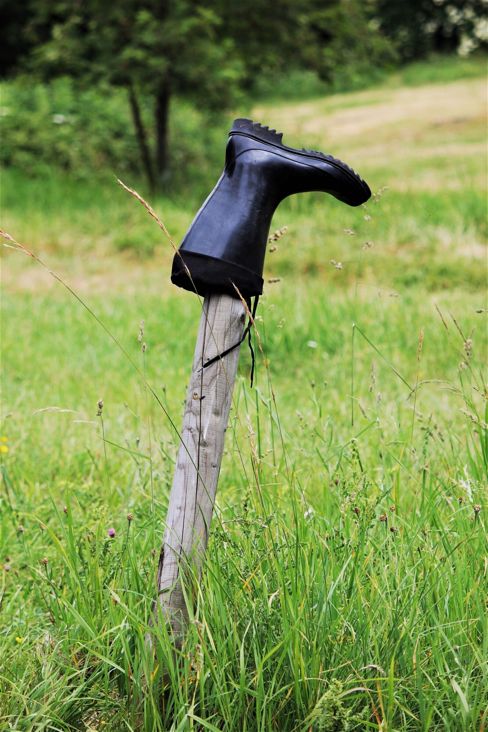 Canon EOS 600D (Rebel EOS T3i / EOS Kiss X5) sample photo. Rubber boots, boots, shoes photography
