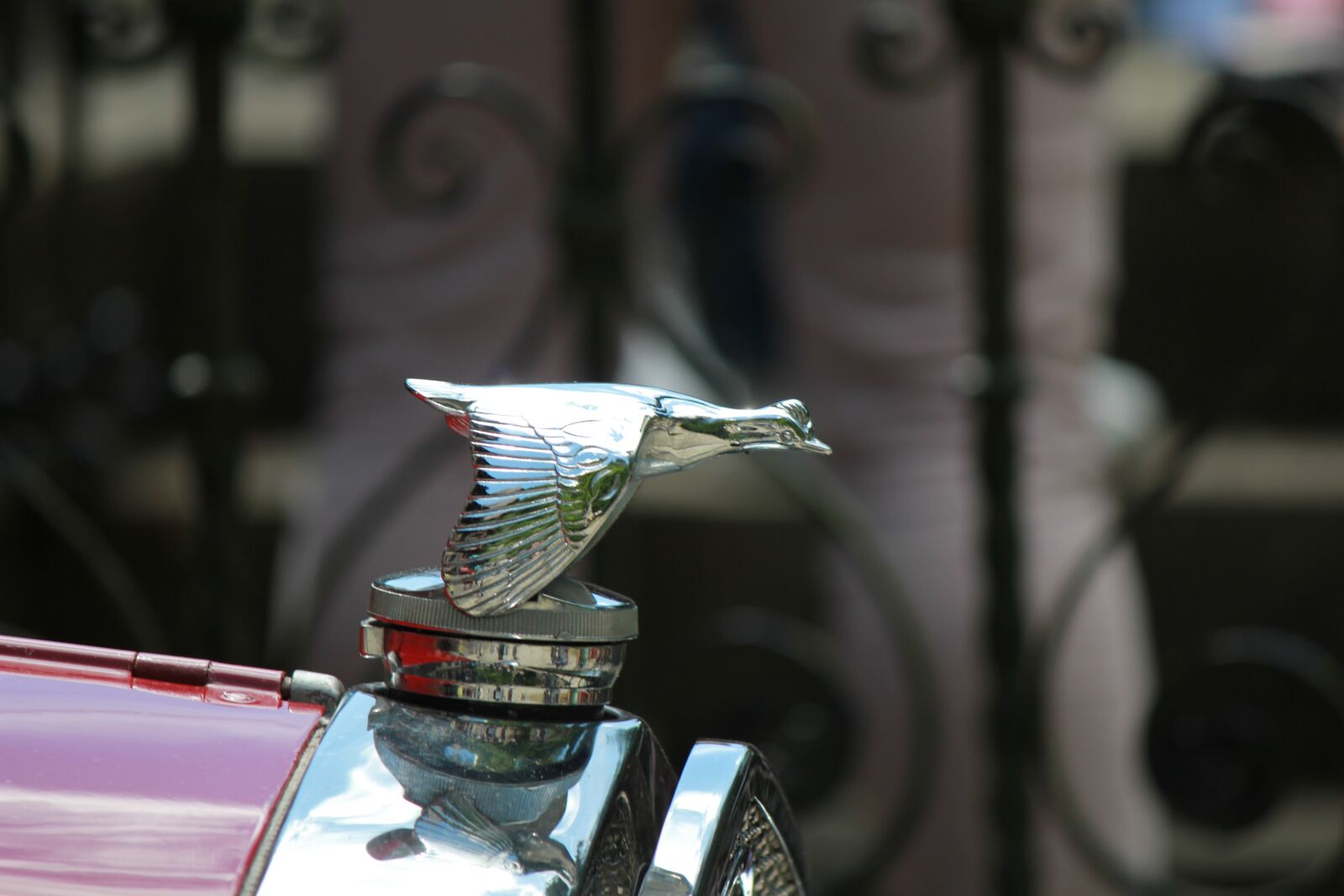 Canon EOS 550D (EOS Rebel T2i / EOS Kiss X4) sample photo. Reflection, auto, light photography