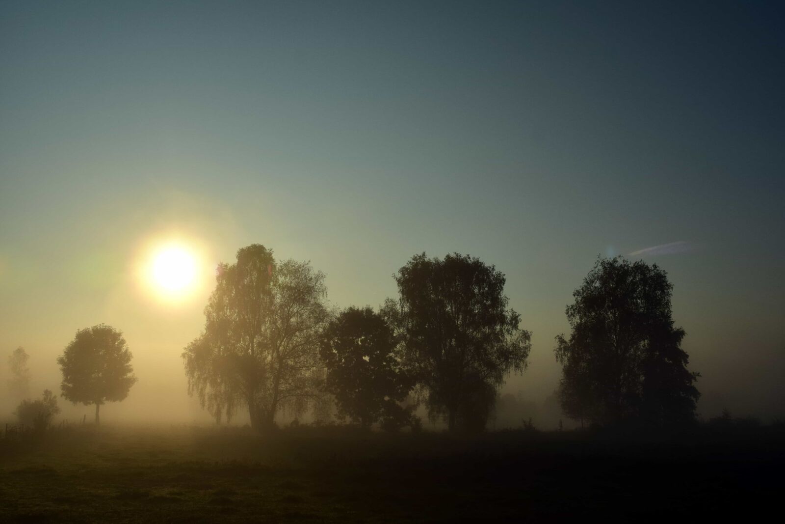 Nikon D3300 sample photo. Dawn, landscape, fog, sunset photography