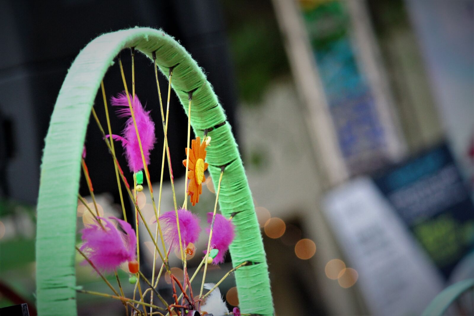 Canon EOS 700D (EOS Rebel T5i / EOS Kiss X7i) sample photo. Flower, outdoors, flora photography