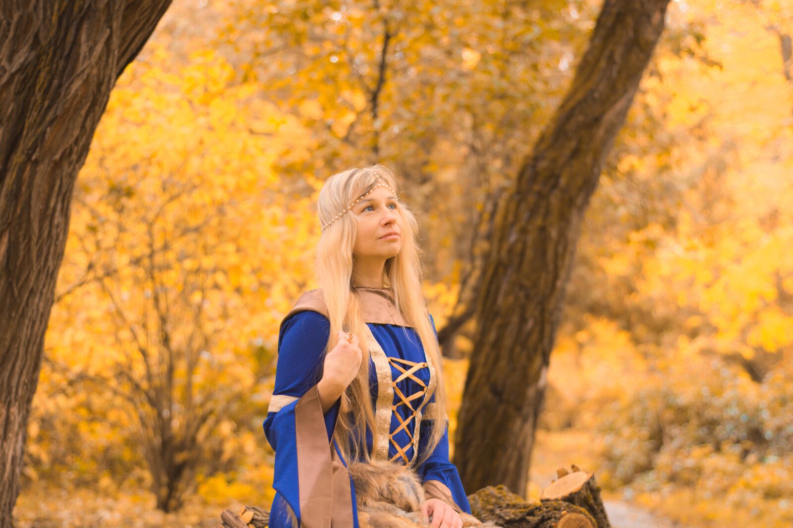 Nikon D7100 sample photo. The middle ages, autumn photography