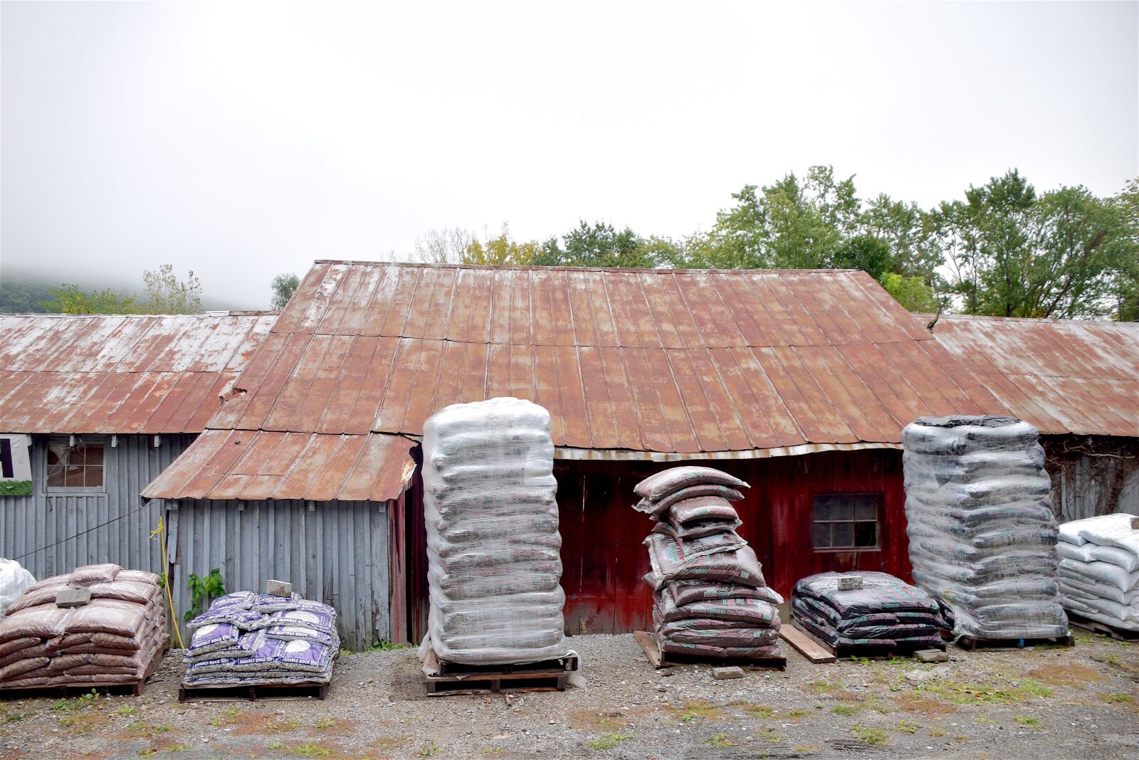 Nikon D3300 sample photo. Rusted roof, shed, rust photography