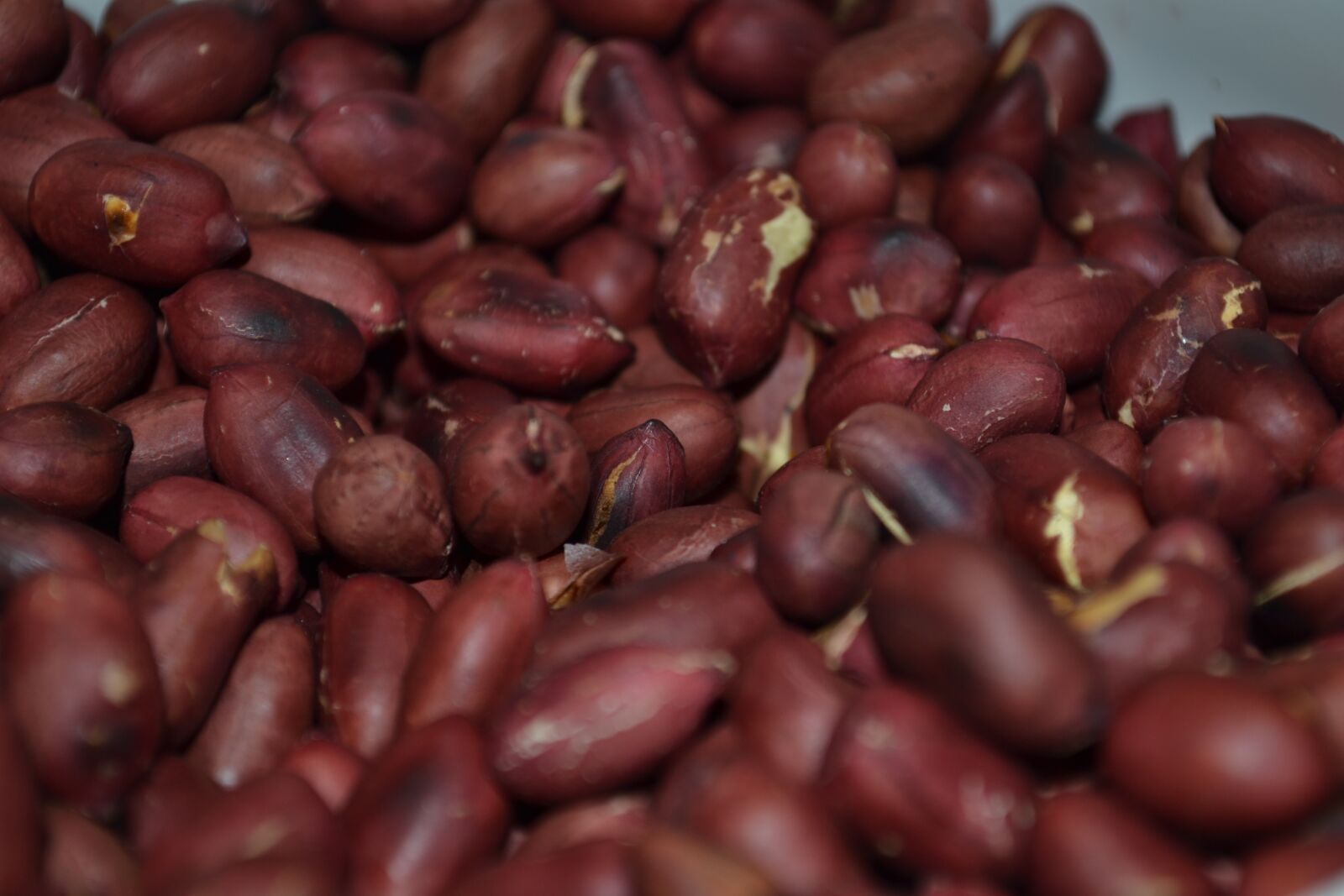 Nikon D3100 sample photo. Peanuts, walnut, nuts photography