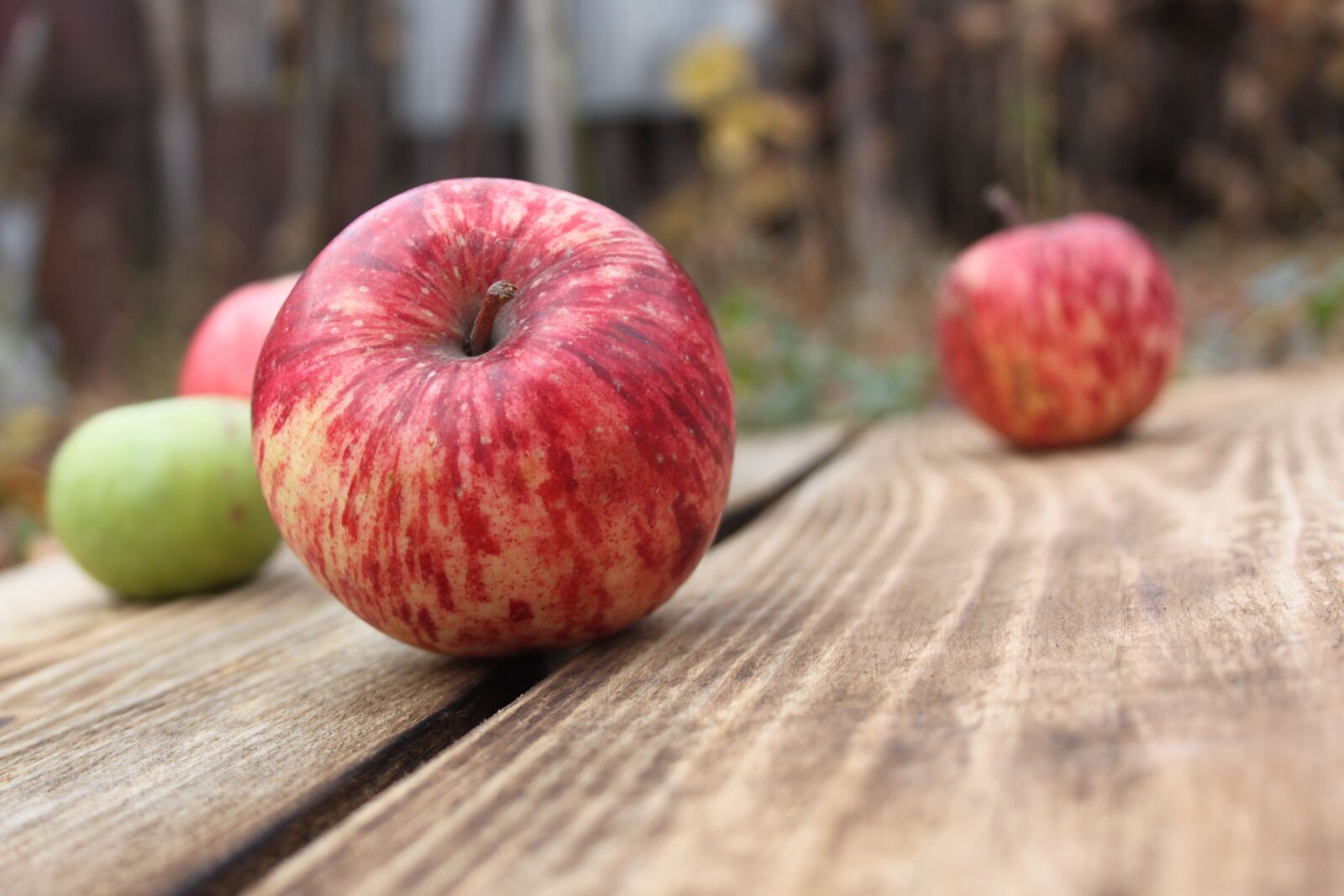 Canon EOS 500D (EOS Rebel T1i / EOS Kiss X3) sample photo. Apples, fruit, apple photography