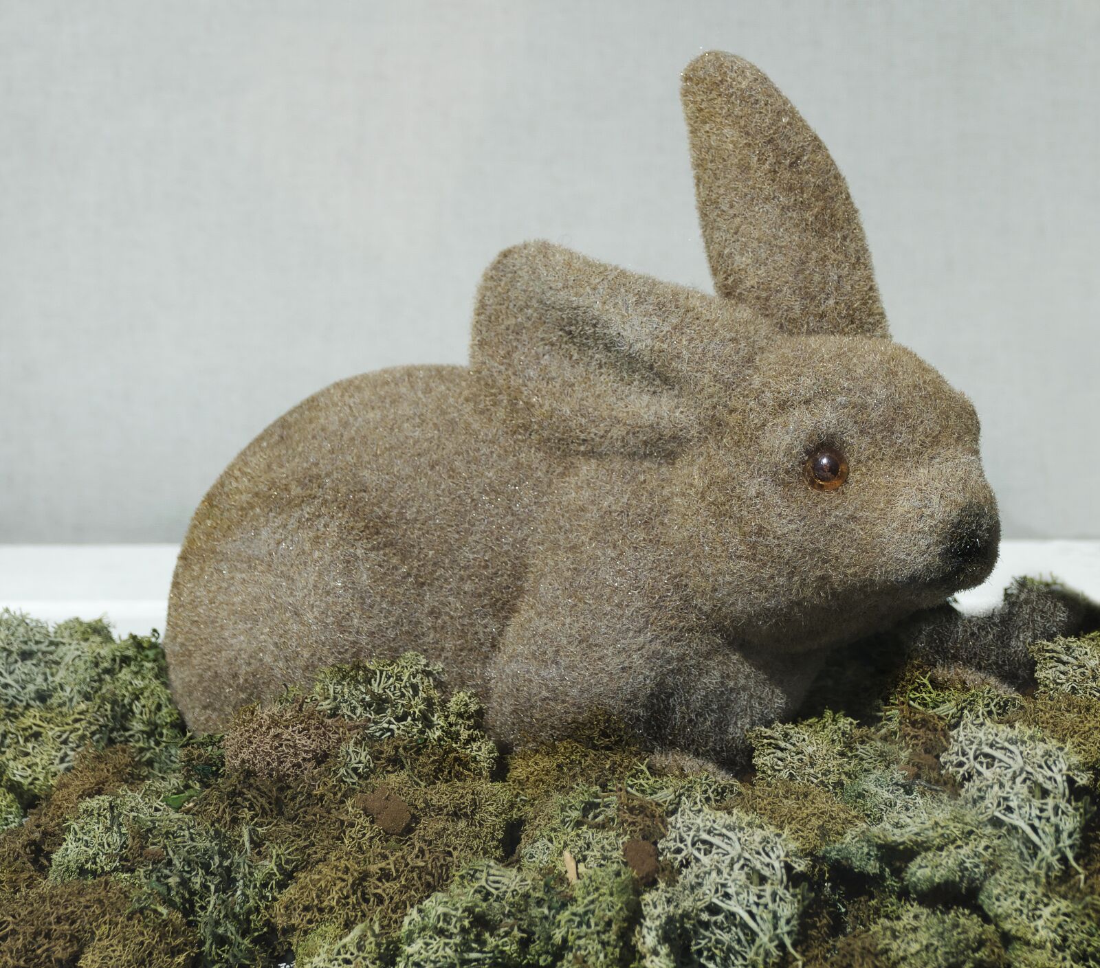 Panasonic Lumix DMC-FZ1000 sample photo. Hare, figure, moss photography