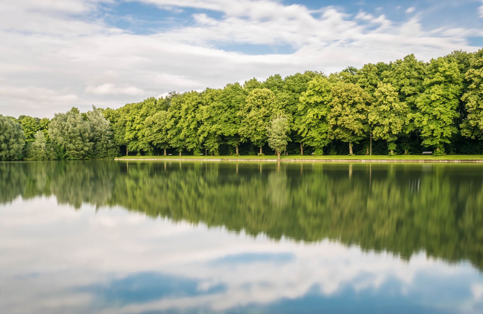 Nikon D3300 sample photo. Forest, mirroring, trees photography