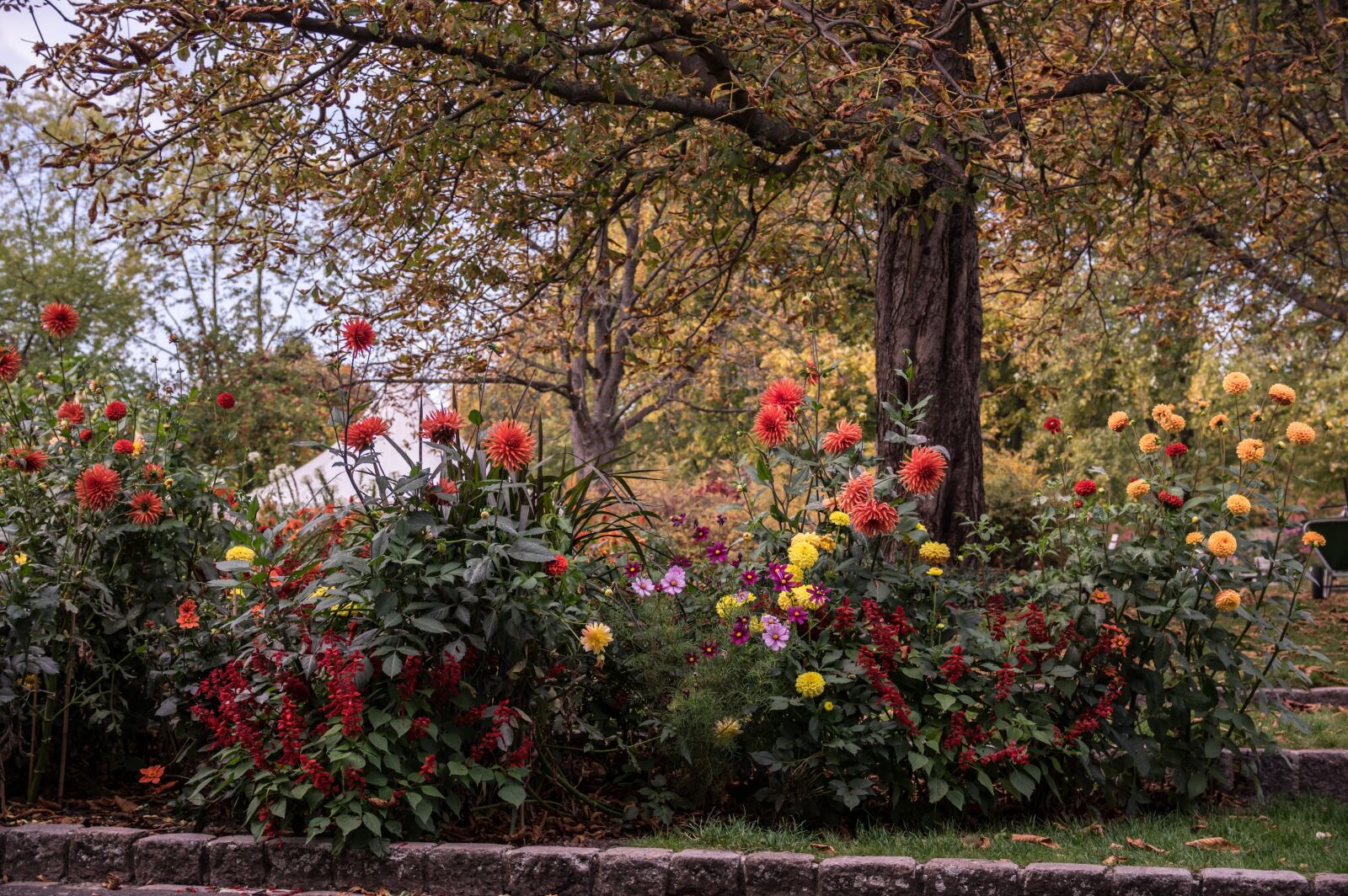 Pentax K-3 sample photo. Garden, flowers, nature photography