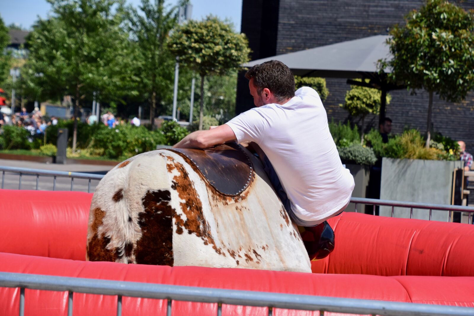 Nikon D3300 sample photo. Balance, bull, falling photography