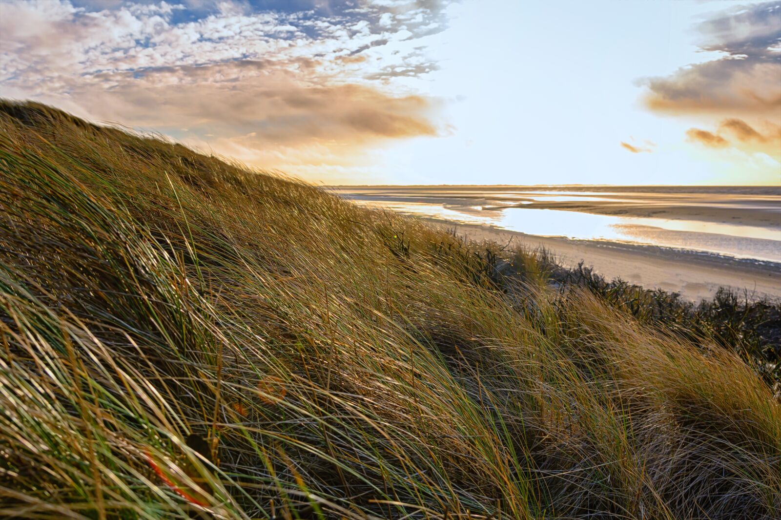 Nikon Z6 sample photo. Beach, coast, grass photography