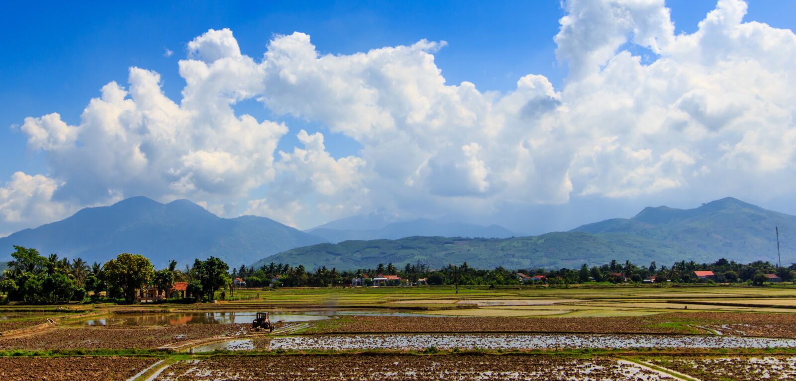 Canon EF-S 10-22mm F3.5-4.5 USM sample photo. Thunderstorm, paddy field, electricity photography