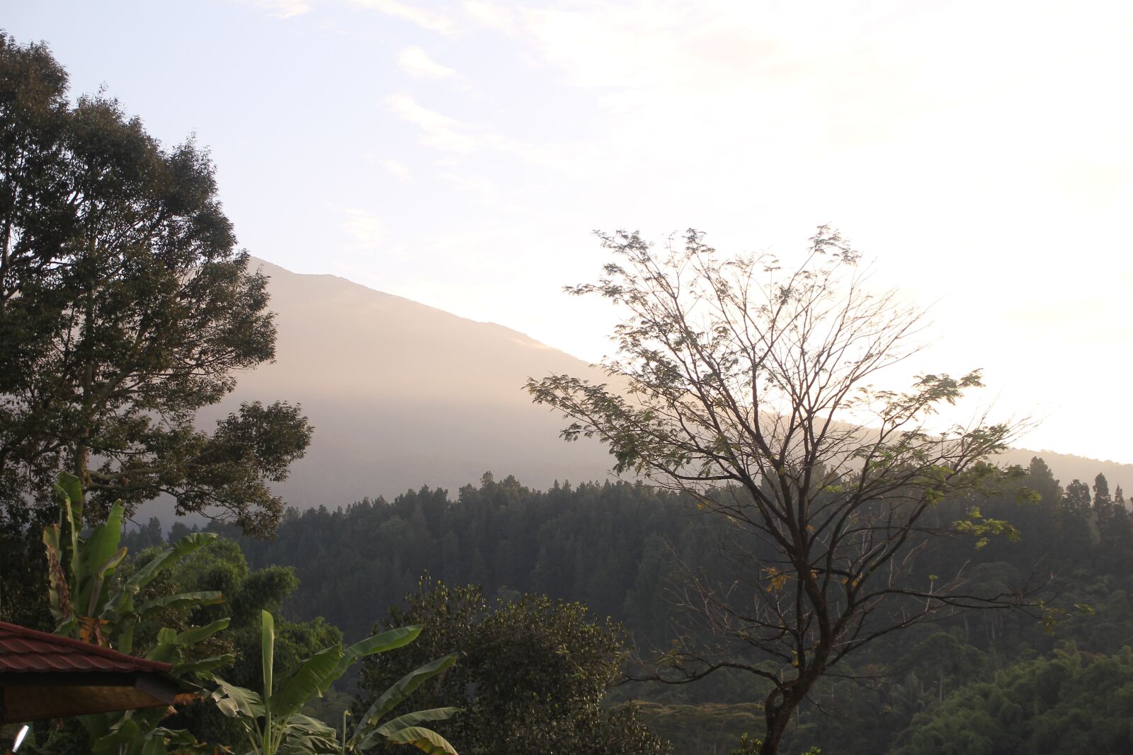Canon EOS 60D sample photo. Morning, sunrise, nature photography
