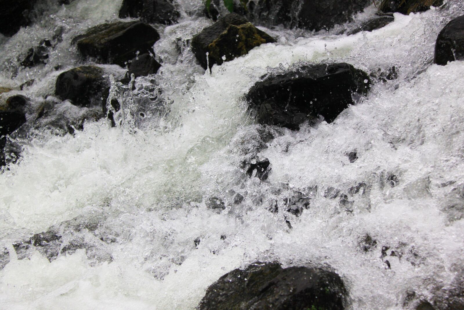 Canon EOS 500D (EOS Rebel T1i / EOS Kiss X3) sample photo. Waterfall, macro, nature photography