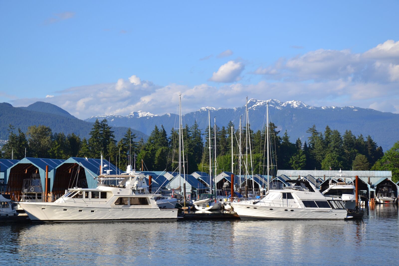 Nikon D3100 sample photo. Vancouver, canada, water photography