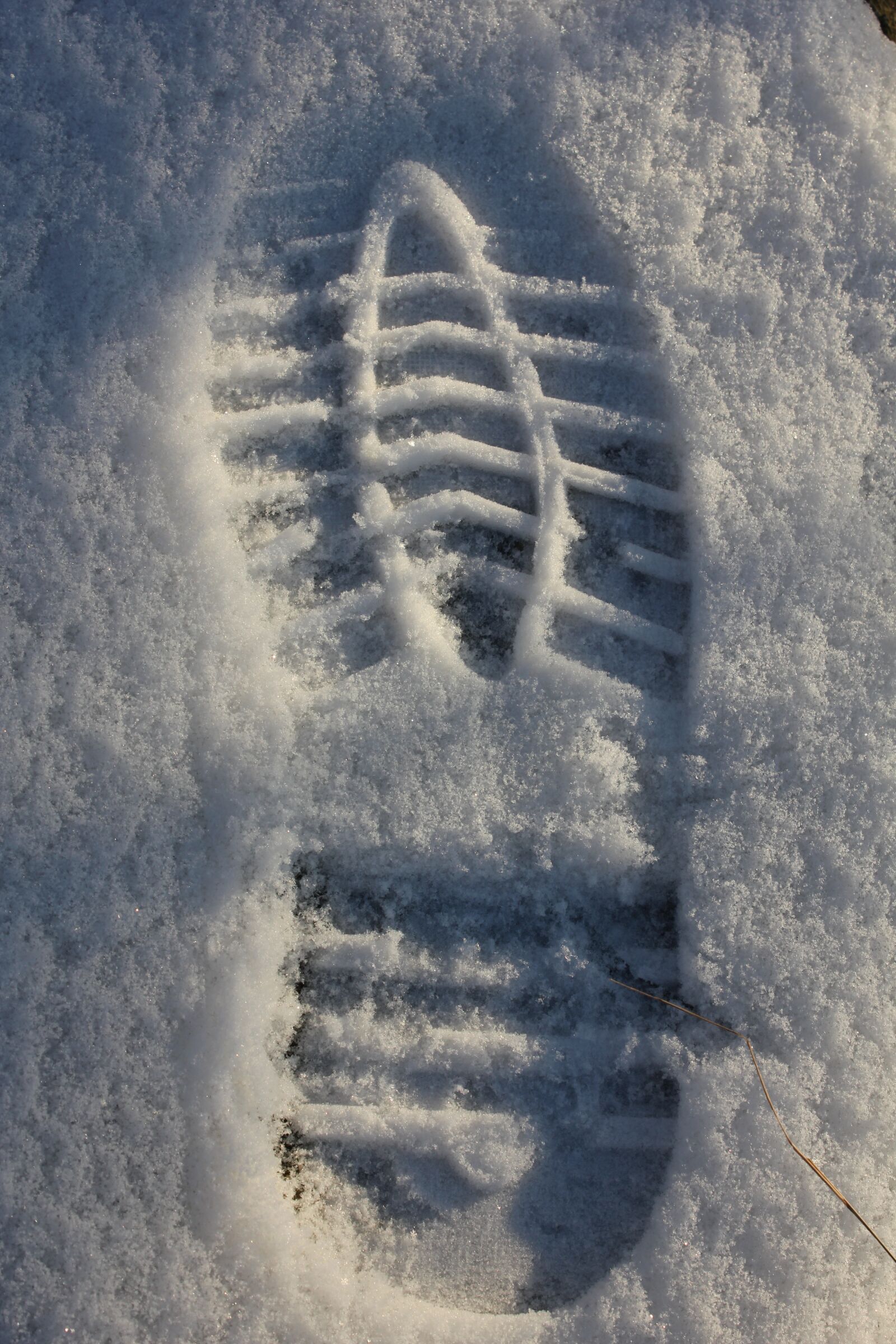 Canon EOS 550D (EOS Rebel T2i / EOS Kiss X4) sample photo. Track, print, snow photography