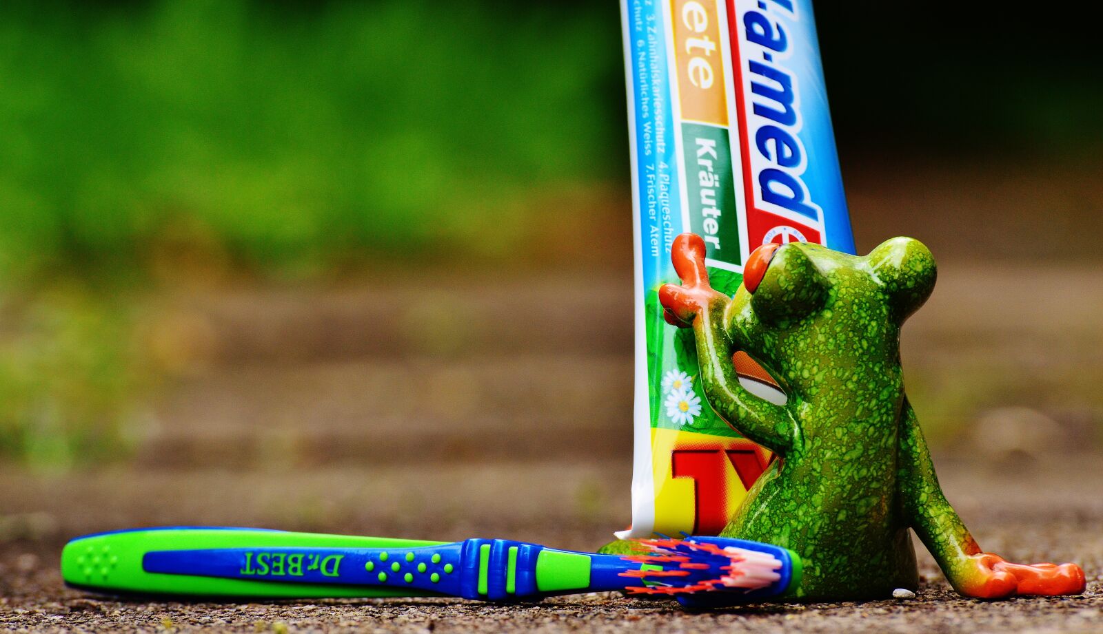 Nikon D3200 sample photo. Toothpaste, frog, toothbrush photography