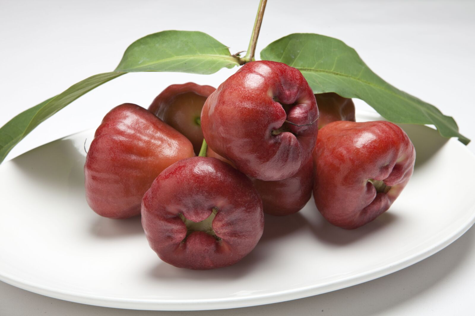 Canon EOS 5D Mark II sample photo. Wax apple, water generalife photography