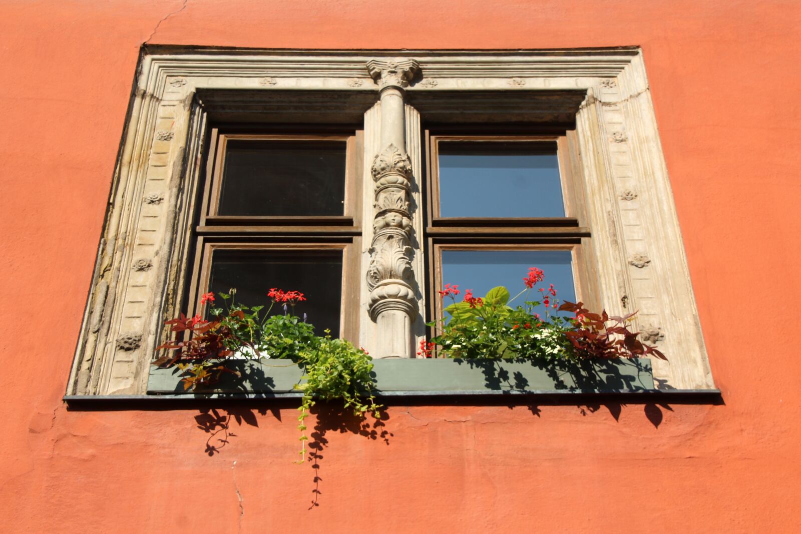 Canon EOS 1200D (EOS Rebel T5 / EOS Kiss X70 / EOS Hi) sample photo. Window, dinosaur, flower boxes photography