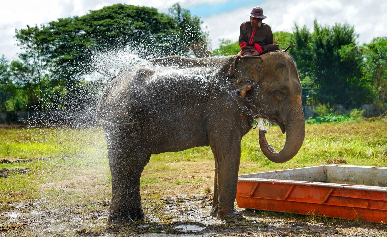 Sony FE 70-300mm F4.5-5.6 G OSS sample photo. Elephant, water, spray photography