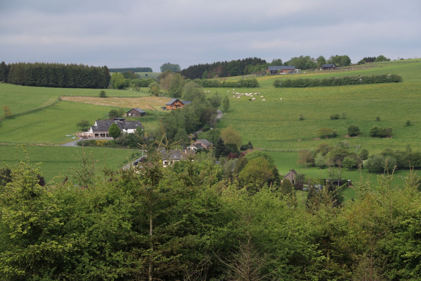 Canon EOS 760D (EOS Rebel T6s / EOS 8000D) sample photo. Landscape, meadow, nature photography