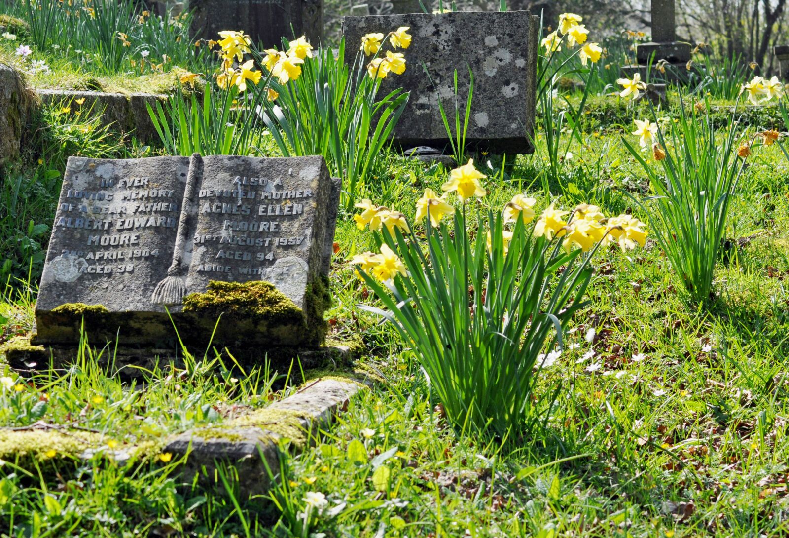 Nikon D5000 sample photo. Spring, cemetery, grave photography