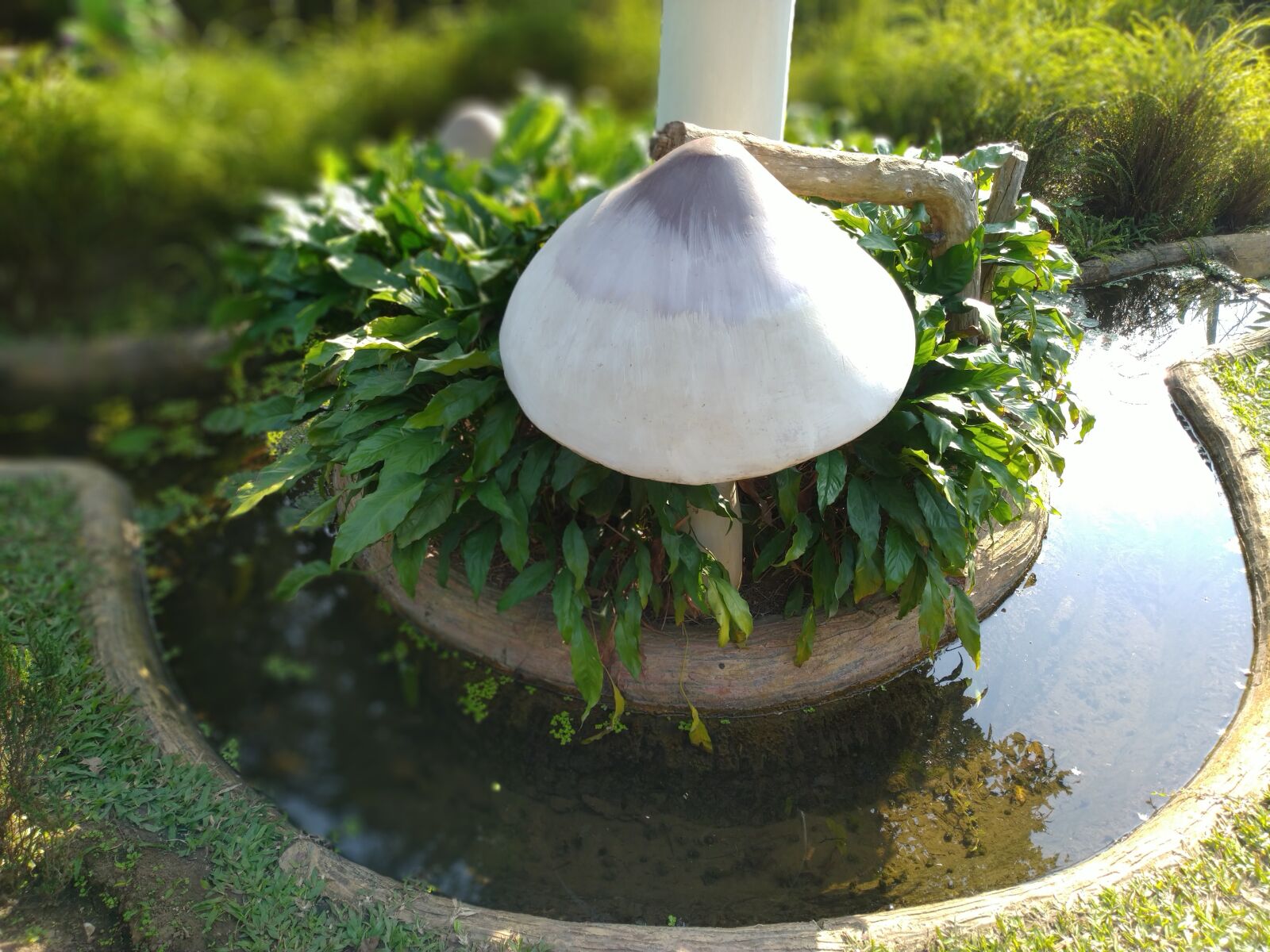 ASUS ZenFone Max Pro M1 (ZB602KL) (WW) / Max Pro M1 (ZB601KL) (IN) sample photo. Garden, mashroom, water canal photography