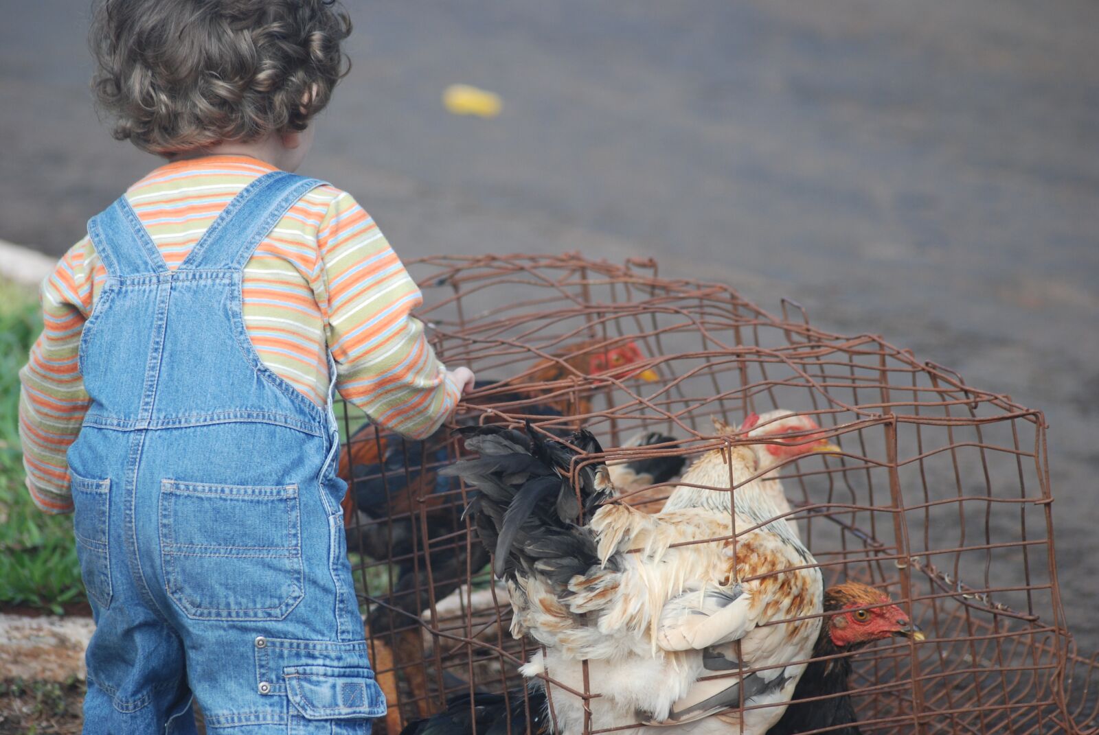 Nikon D80 sample photo. Child, curiosity, cute photography