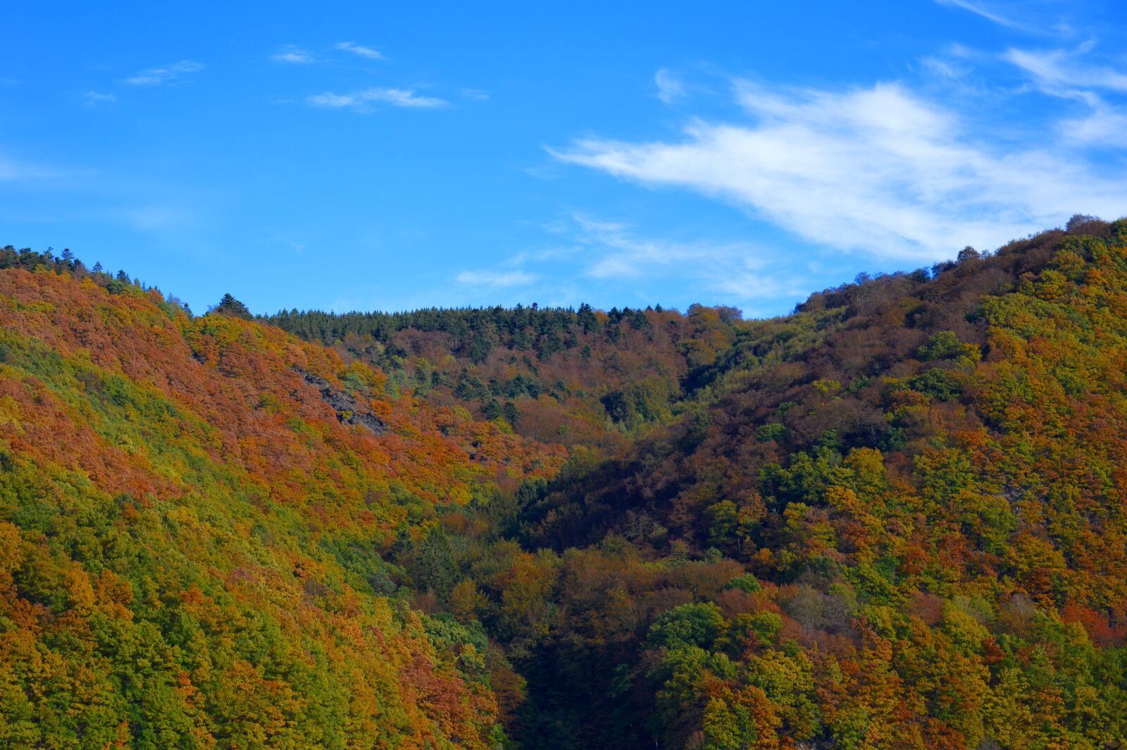 Nikon D3200 sample photo. Rurtalsperre, eifel, germany photography